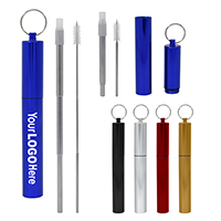 TELESCOPIC STAINLESS STEEL STRAW KIT